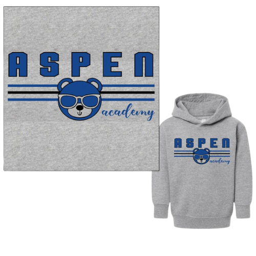 Aspen Shades Gray Hoodie (Early Learning 20% Off Sale!)
