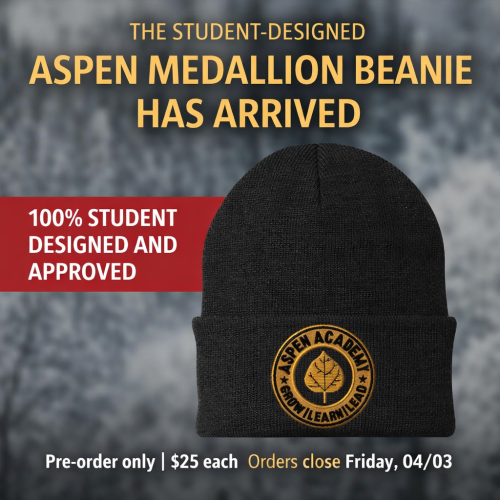 Pre-Order: Aspen Medallion Beanie